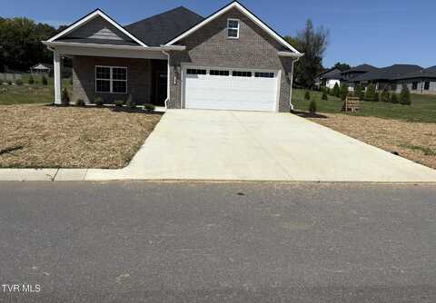 225 Dry Kiln Court, Gray, TN 37615