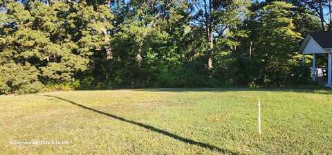 Blackberry Rd, CAMDEN, TN 38320