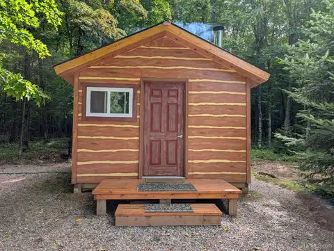 251 Tamarack Lake, Iron River, MI 49935