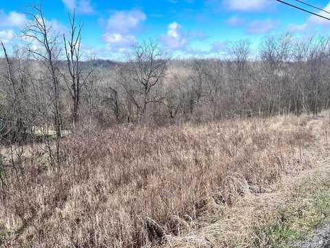 TBD Coventry Road, Valley Grove, WV 26060