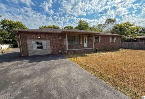 154 Gene Drive, Ledbetter, KY 42058