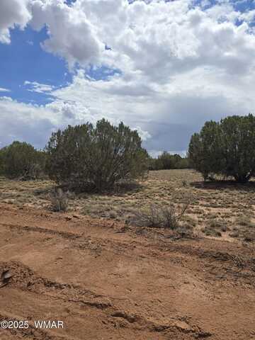 6465 Tharp Road, Snowflake, AZ 85937