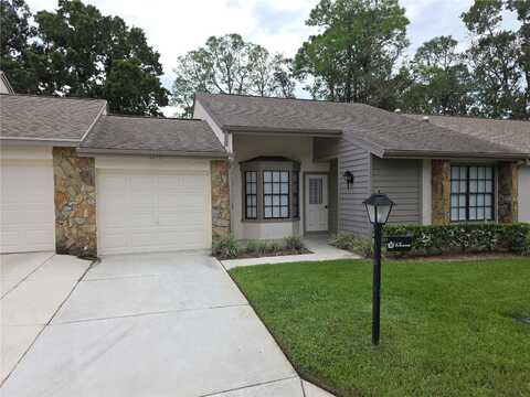 6645 BRAMBLELEAF DRIVE, SPRING HILL, FL 34606