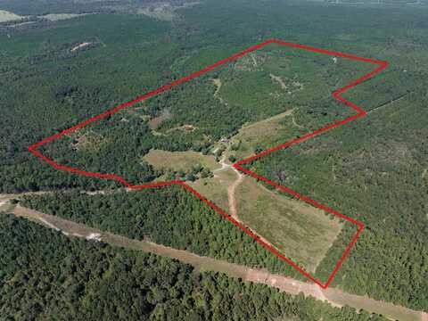 4029 JAYBIRD SPRINGS RD, Helena, GA 31037