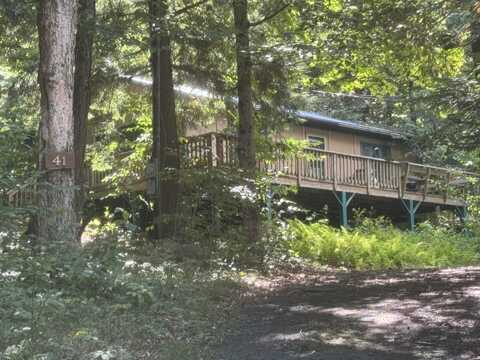 41 Lone Pine Rd Road, Cranberry Lake, NY 12927