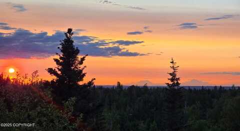 6411 Ridge Tree Circle, Anchorage, AK 99507