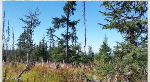 000 Wild Cotton, Anchor Point, AK 99556