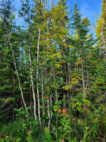 V/L 80AC State Road, Kalkaska, MI 49646