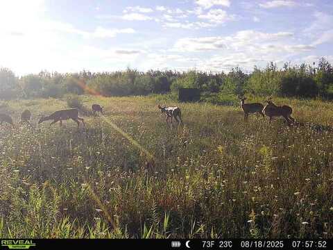 V/L 120AC Bolton Road, Posen, MI 49776