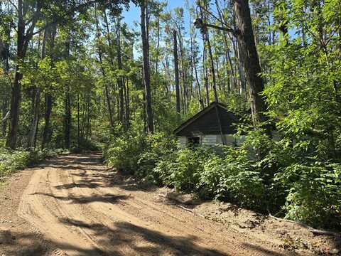 8563 Lewis Road, Vanderbilt, MI 49795