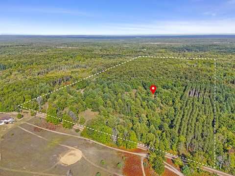 1464 N Raymond Road, Luther, MI 49656