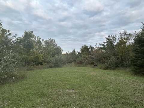9625 Bolton Road, Posen, MI 49776