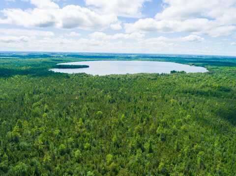 V/L 80AC Kroll Highway, Posen, MI 49776