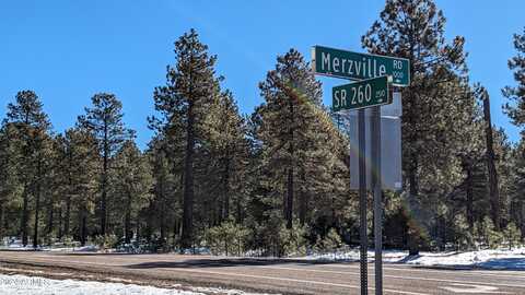 1019 MERZVILLE Road, Forest Lakes, AZ 85931