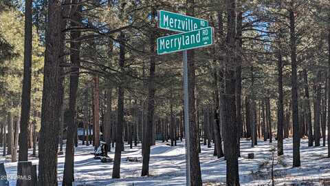1960 MERRYLAND Road, Forest Lakes, AZ 85931