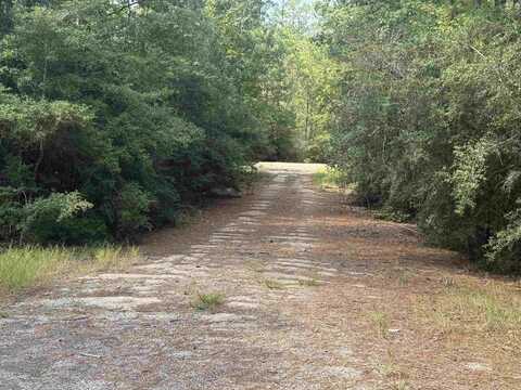 281 Tanoak, Brookeland, TX 75931