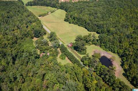 0 COUNTY ROAD 59, ROANOKE, AL 36274