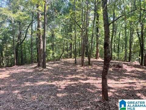 1110 29TH STREET, PELL CITY, AL 35125