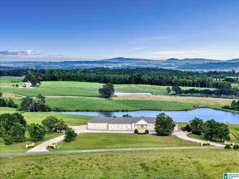 377 COUNTY ROAD 543, HANCEVILLE, AL 35077