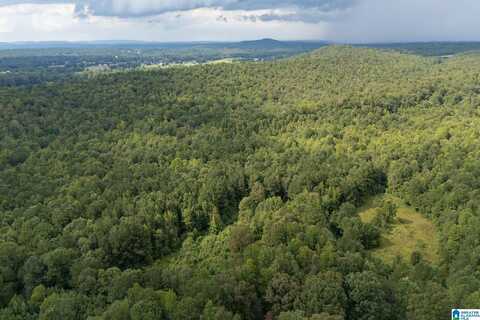 4255 KELLY CREEK ROAD, ODENVILLE, AL 35120
