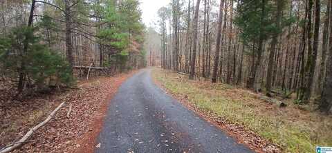0 VENABLE ROAD, ARGO, AL 35173