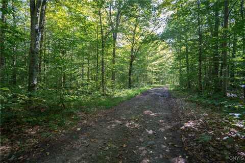 999 Jerseyfield Road, Salisbury, NY 13365