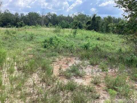 000 Caroline Dr, Greenbrier, AR 72058
