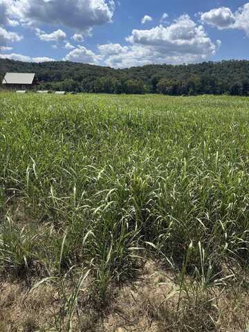50, 59, 60 White River Run, Guion, AR 72540