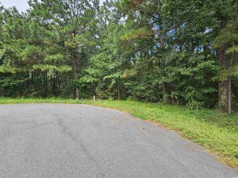 8340 Bucksport Heights Circle, Conway, SC 29527