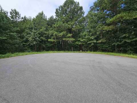 8344 Bucksport Heights Circle, Conway, SC 29527