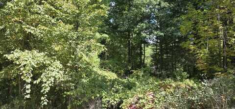Lot 47 Shearer, Gladwin, MI 48624