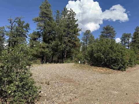 93 & 127 Careys Court, Pagosa Springs, CO 81147