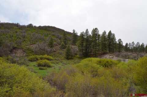 87 Hopkins Creek Trail, Durango, CO 81301