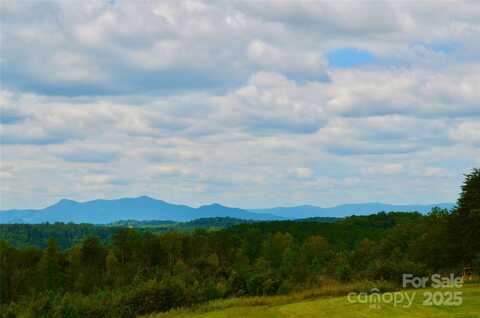 450 Big Gum Court, Rutherfordton, NC 28139