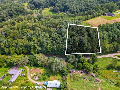99999 Morgan Cove Road, Candler, NC 28715