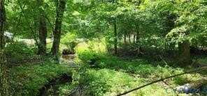 1380 Jasmine Road, Goochland, VA 23063