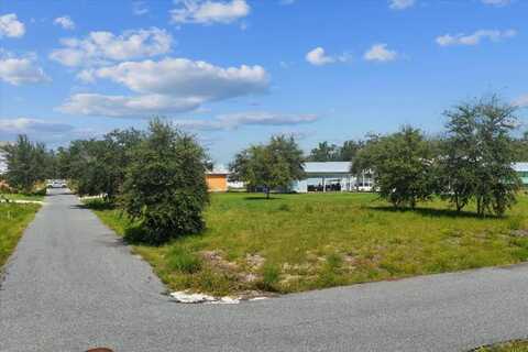 0 869th Loop, Steinhatchee, FL 32359