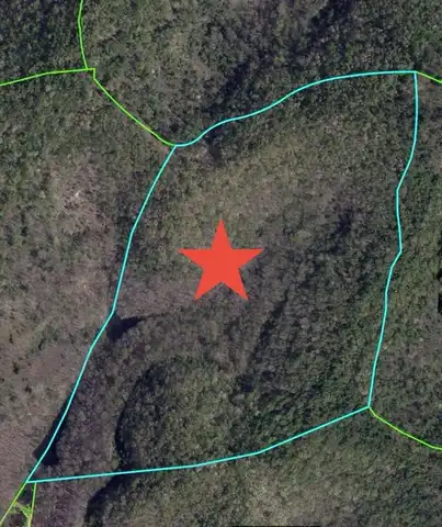 0 Big Sand Lick Road, Salyersville, KY 41465