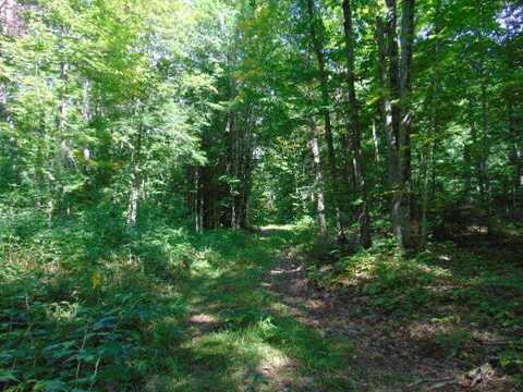 22383 Krenkel Trail TRL, Newberry, MI 49868