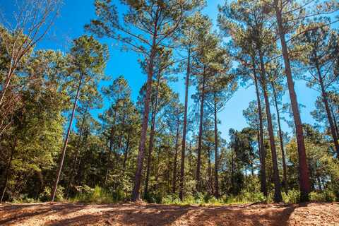 535 Rabbit Pen Drive, Appling, GA 30802