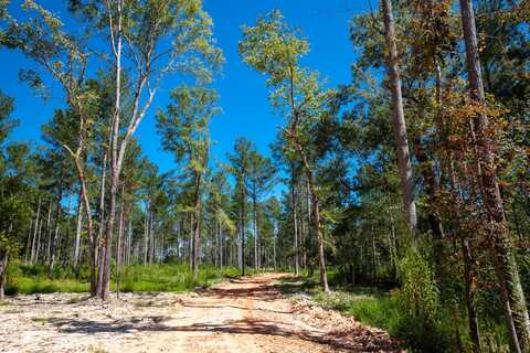 575 Rabbit Pen Drive, Appling, GA 30802