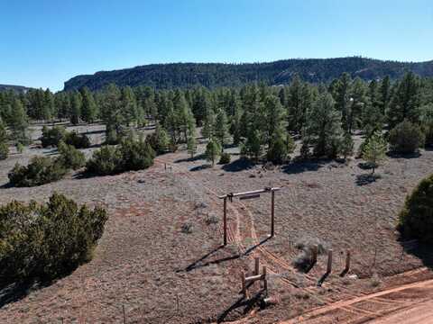 Timberlake Road lot: 21, Ramah, NM 87321