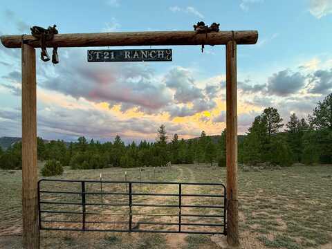 Timberlake Road lot: 21, Ramah, NM 87321