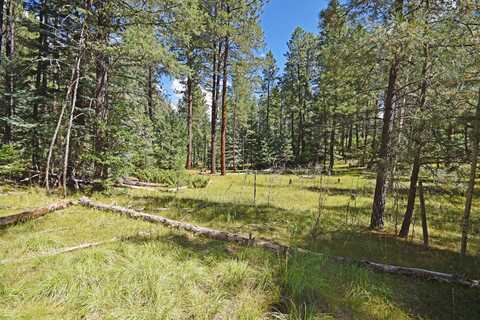 Thomsens Point, Jemez Springs, NM 87025