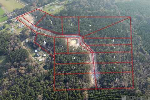 18592 Settlement Trace, Livingston, LA 70754