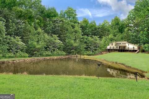 547 Canaan, Ellijay, GA 30540