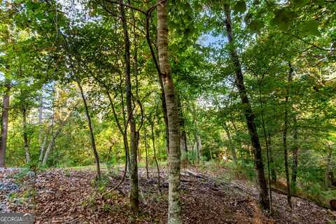 Lt 2076r PARODY CIRCLE, Ellijay, GA 30540