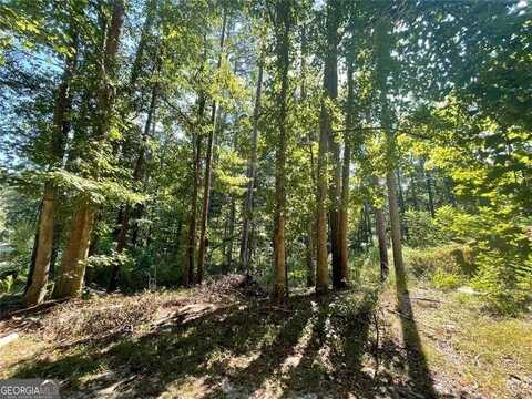 6031 Falcon, Austell, GA 30106