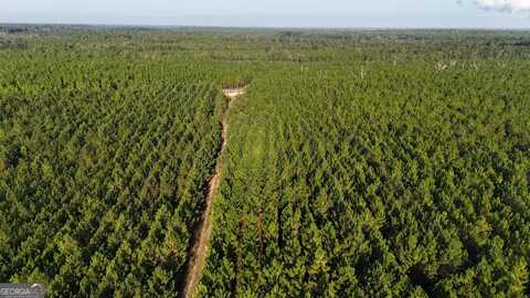 Tracts 10 And 1 Penny Morris, Baxley, GA 31513