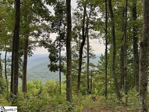 1534 Panther Park Trail, Travelers Rest, SC 29690